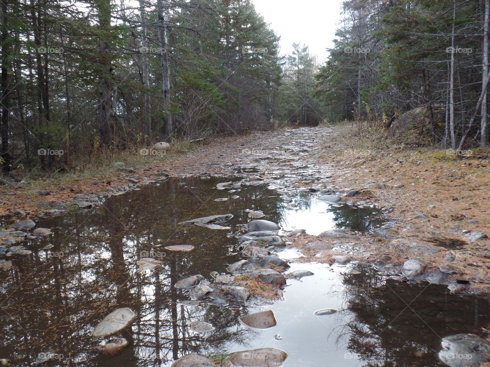 Drummond Island, Michigan 