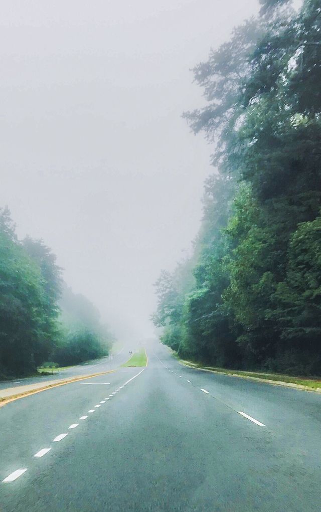 Foggy day on the road 