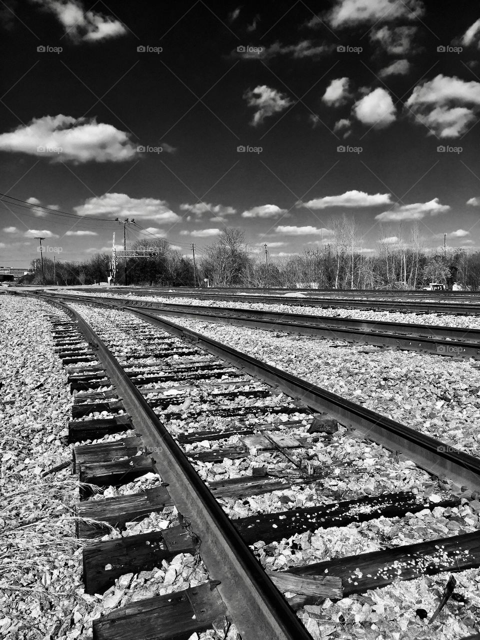 Railroad in the Industrial Area