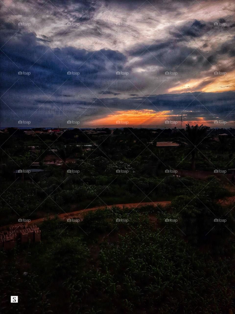 serene. serenity. environment. landscape