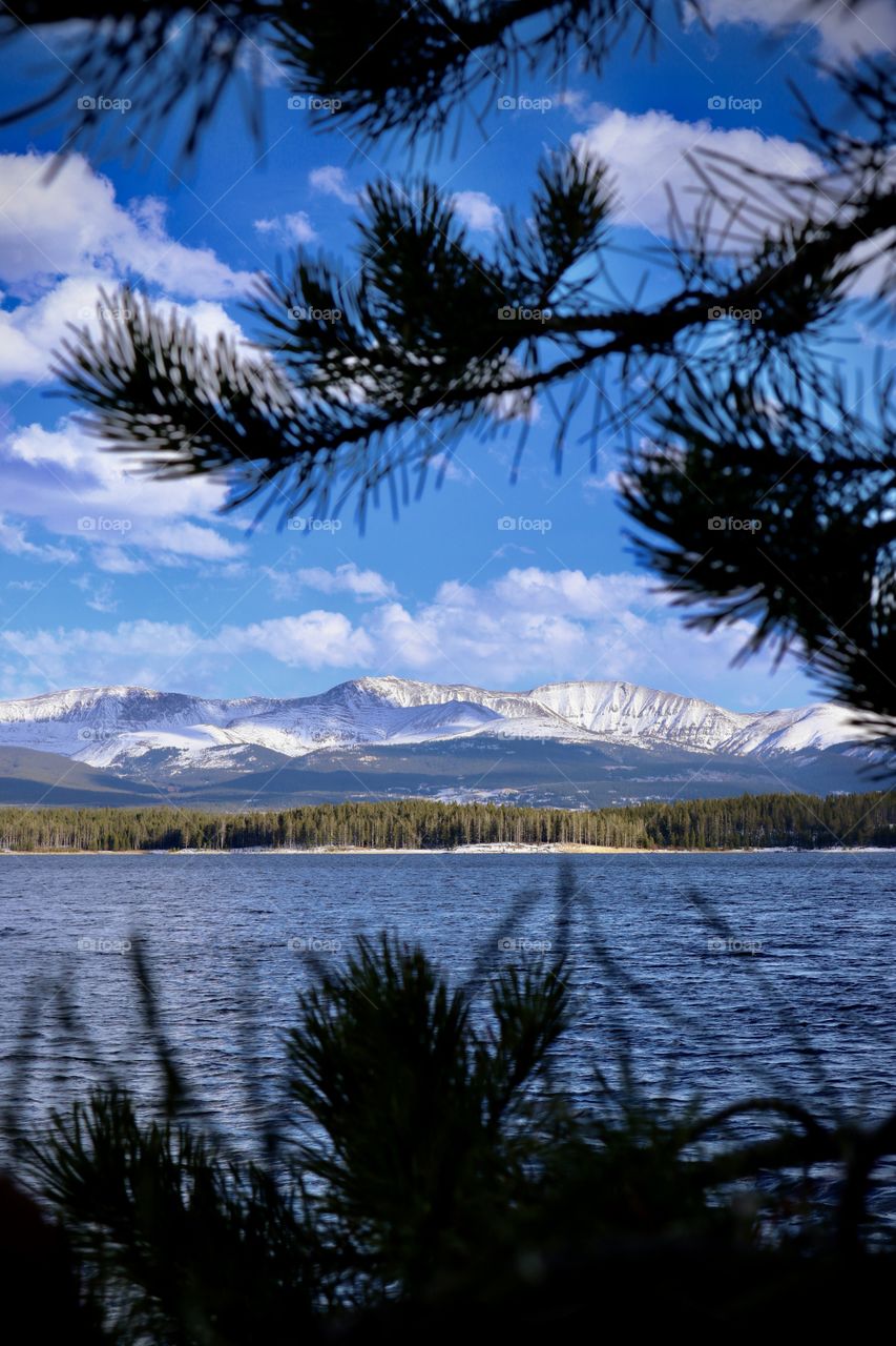The scenic view. Sight of the mountains through the evergreen branches.