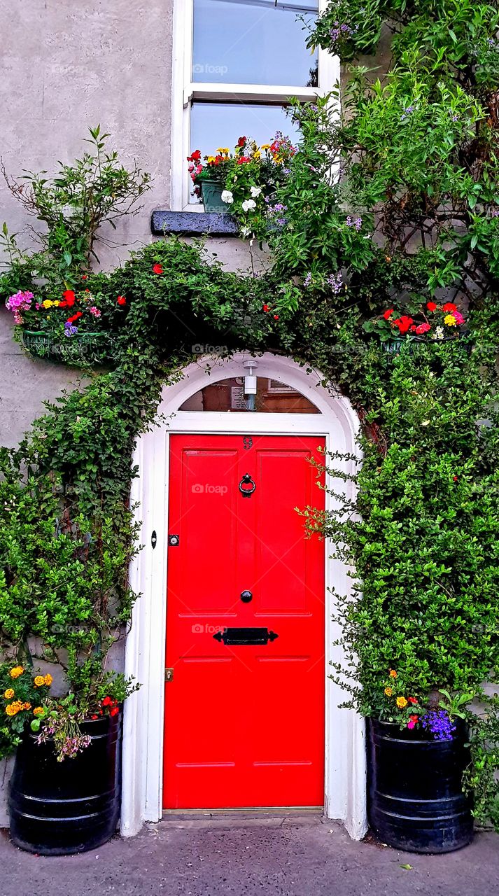 The colour is red. Door