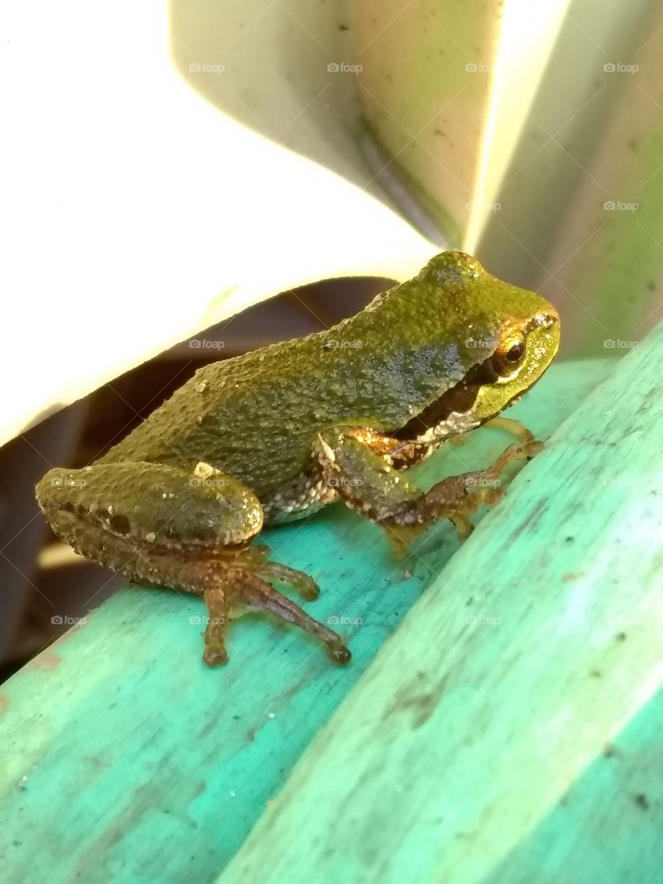 What's there to Ponder?