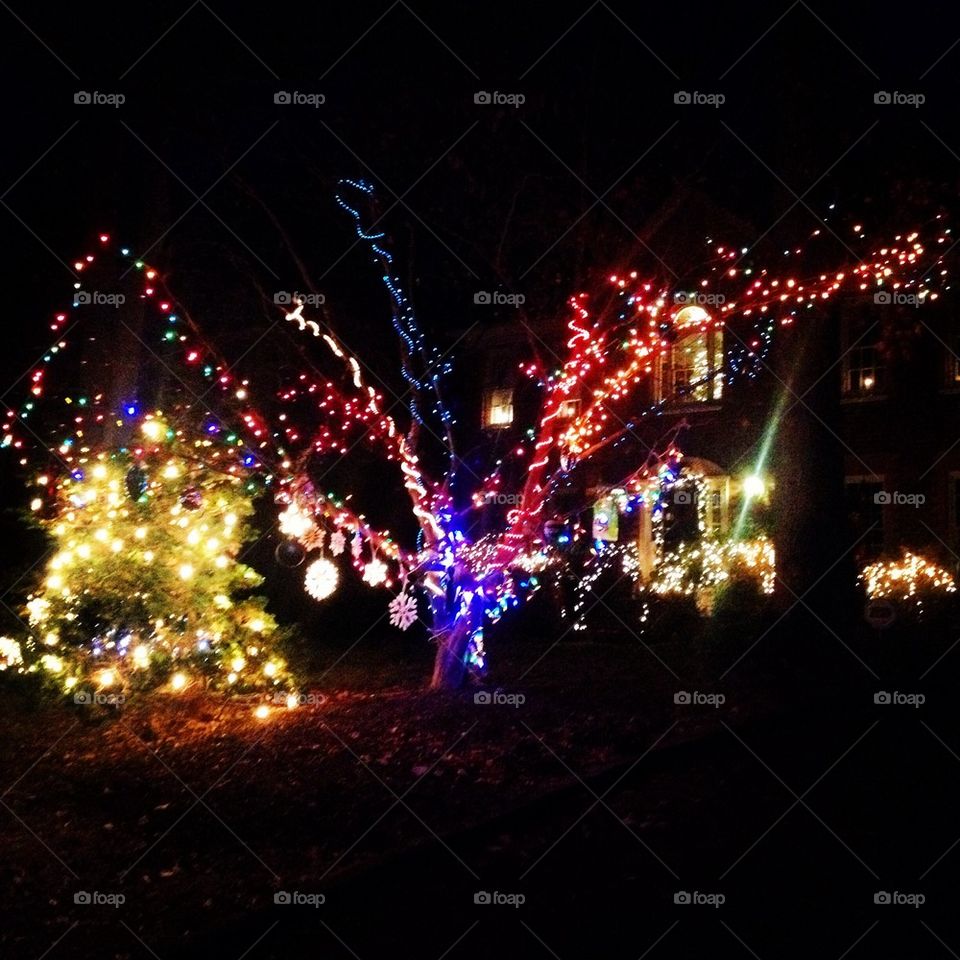 Christmas lights display 