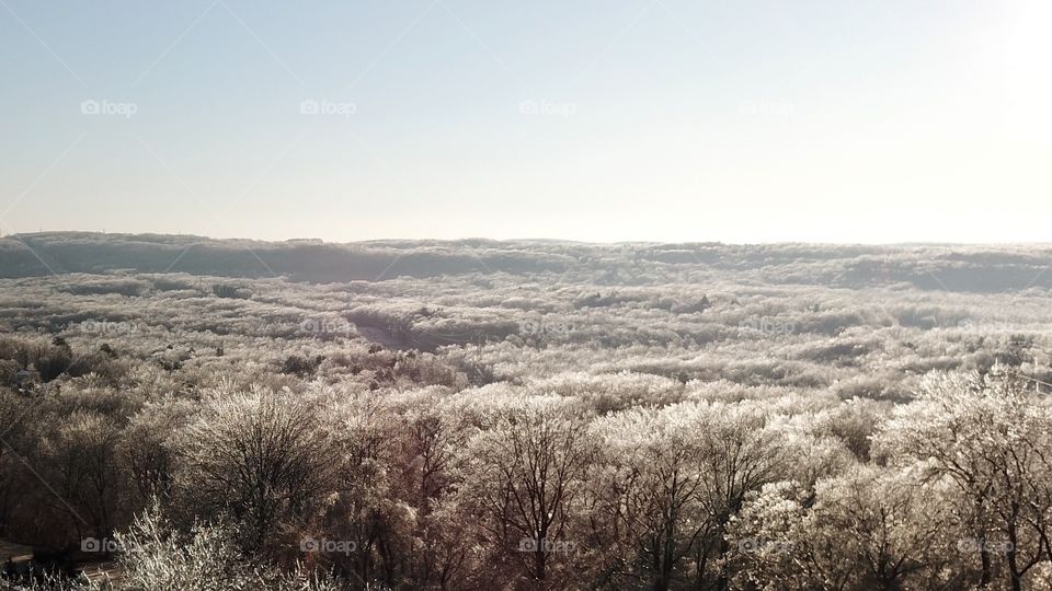 Sunrise in New Jersey Over Ice