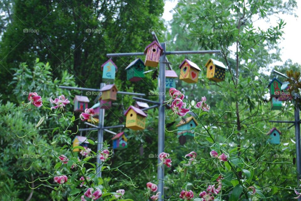 Bird houses and flowers