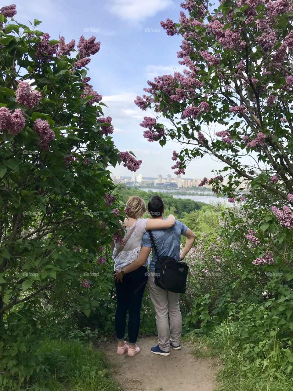 blooming lilac in the botanical garden of the city of Kiev