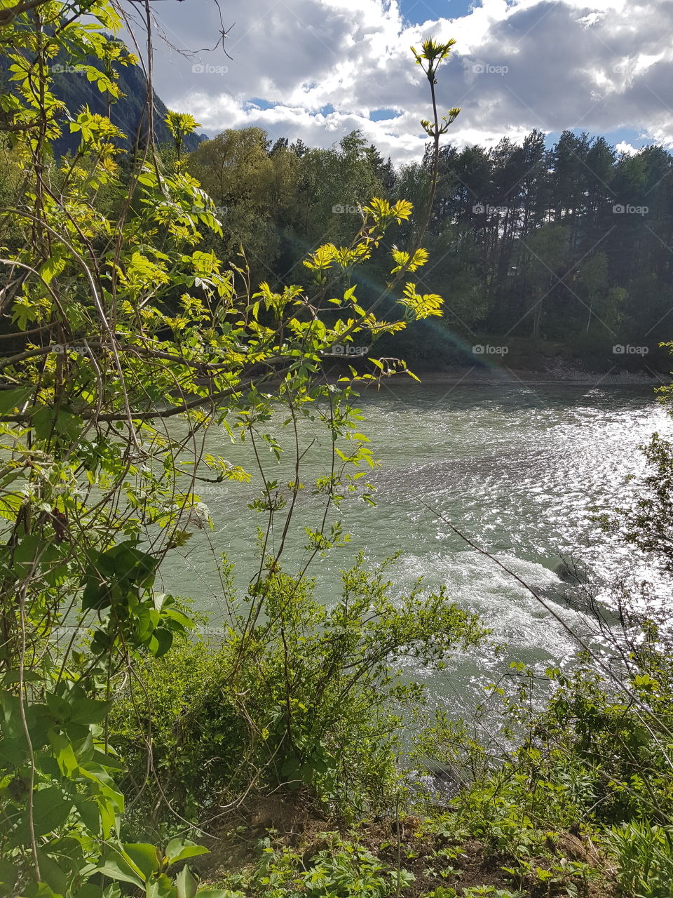 schöner Tag am Wasser🌳🍃🌱💧☀️