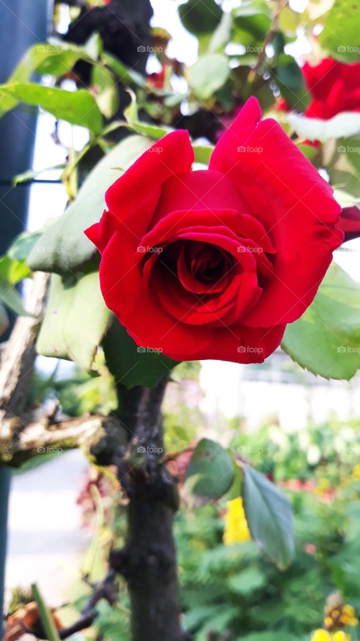 First signs of spring