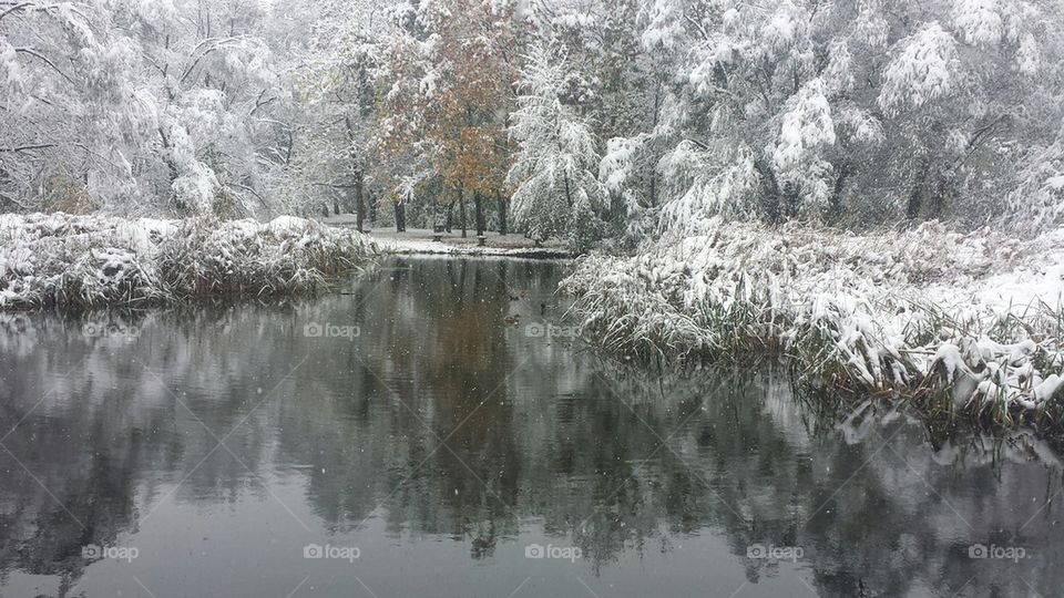 First snow 