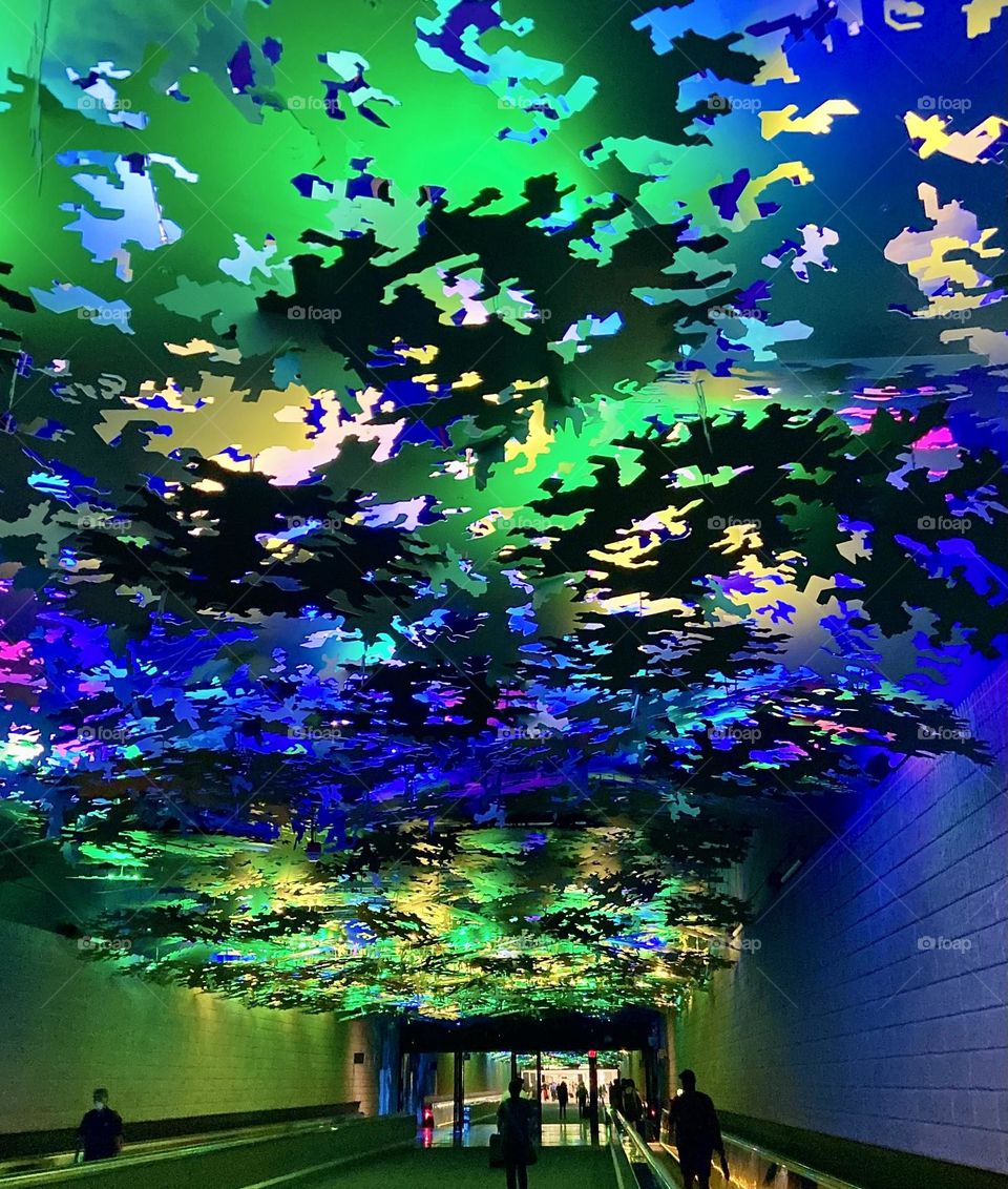 Ceiling Color