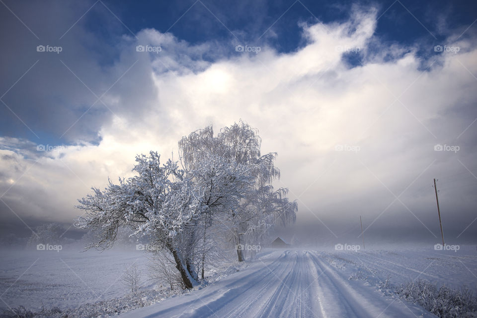 Winter snowy rural road