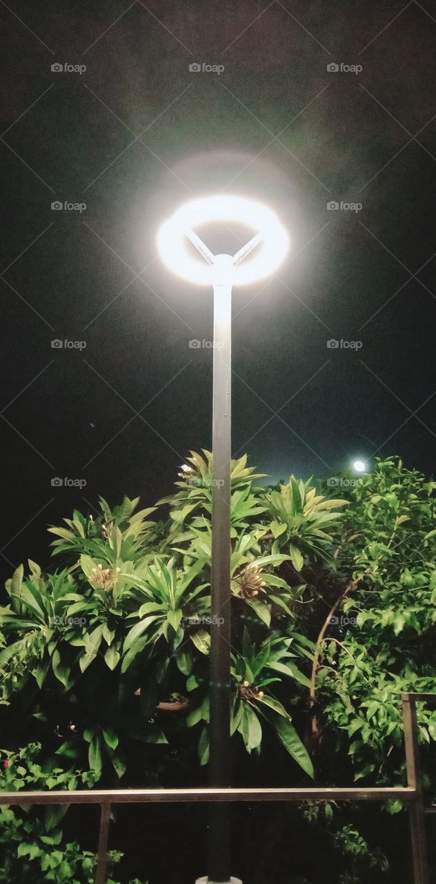 Light: Natural vs artificial