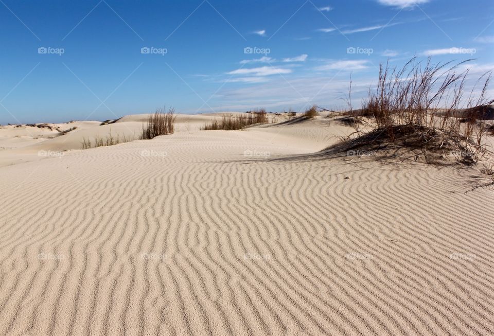 Ripples In The Dunes