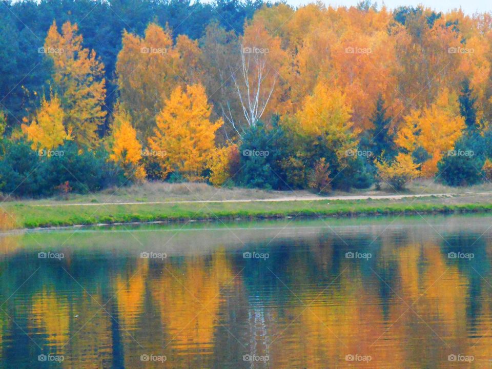 autumn lake