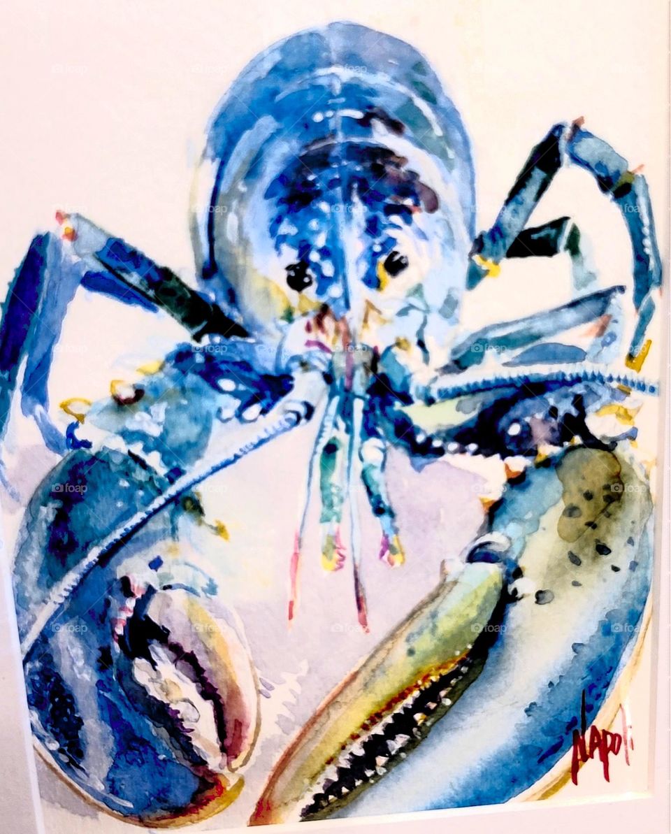 Maine lobster