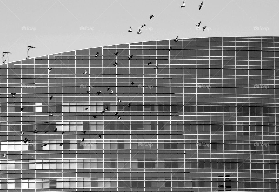 black and white  architecture