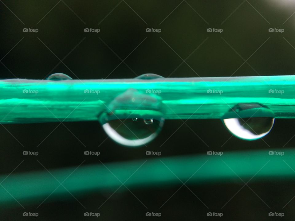 Green Washing Line after heavy rain 