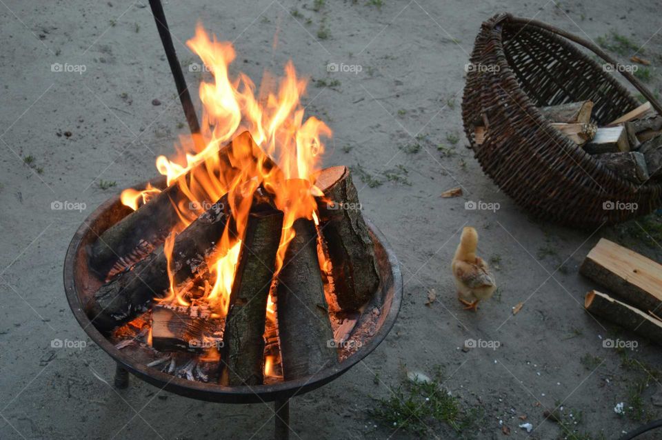 Camefire on sandy beach