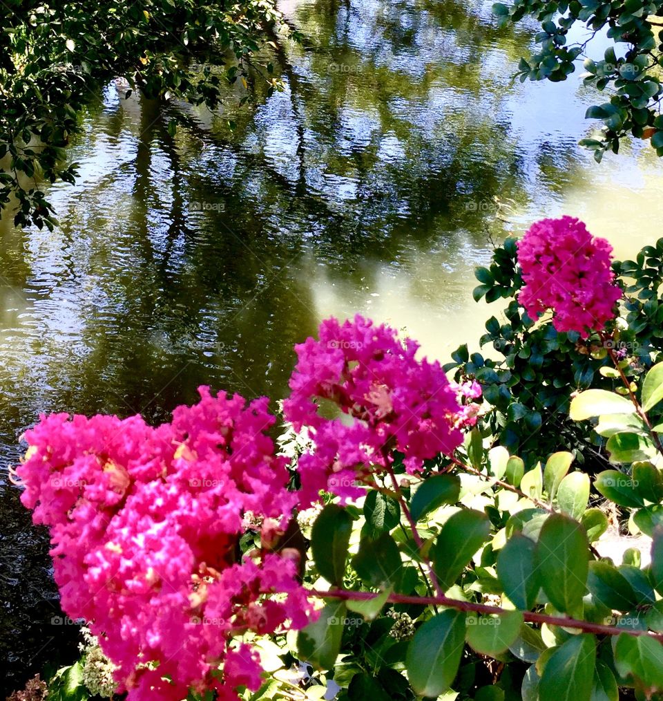 beautiful summer day