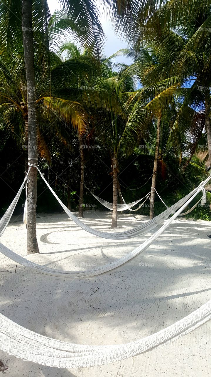 Hammocks in the jungle