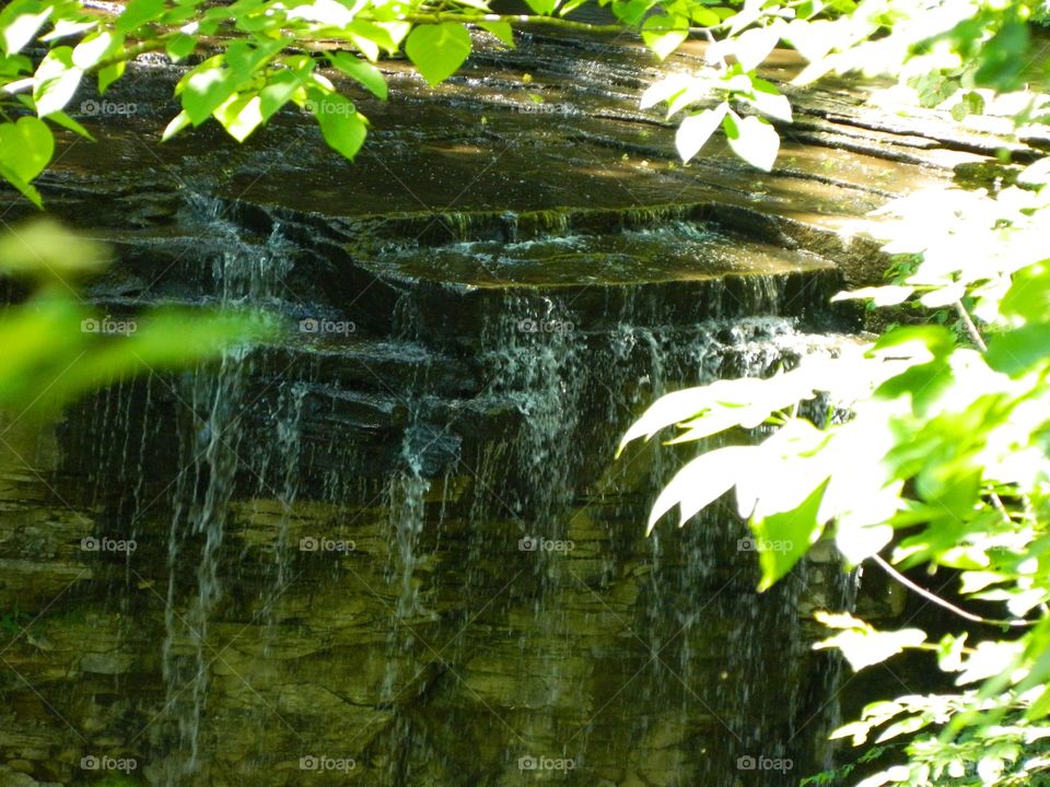 waterfall in the woods