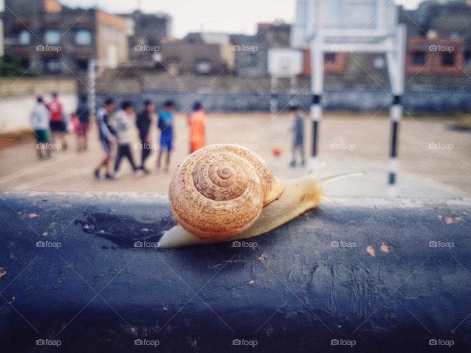 snail time