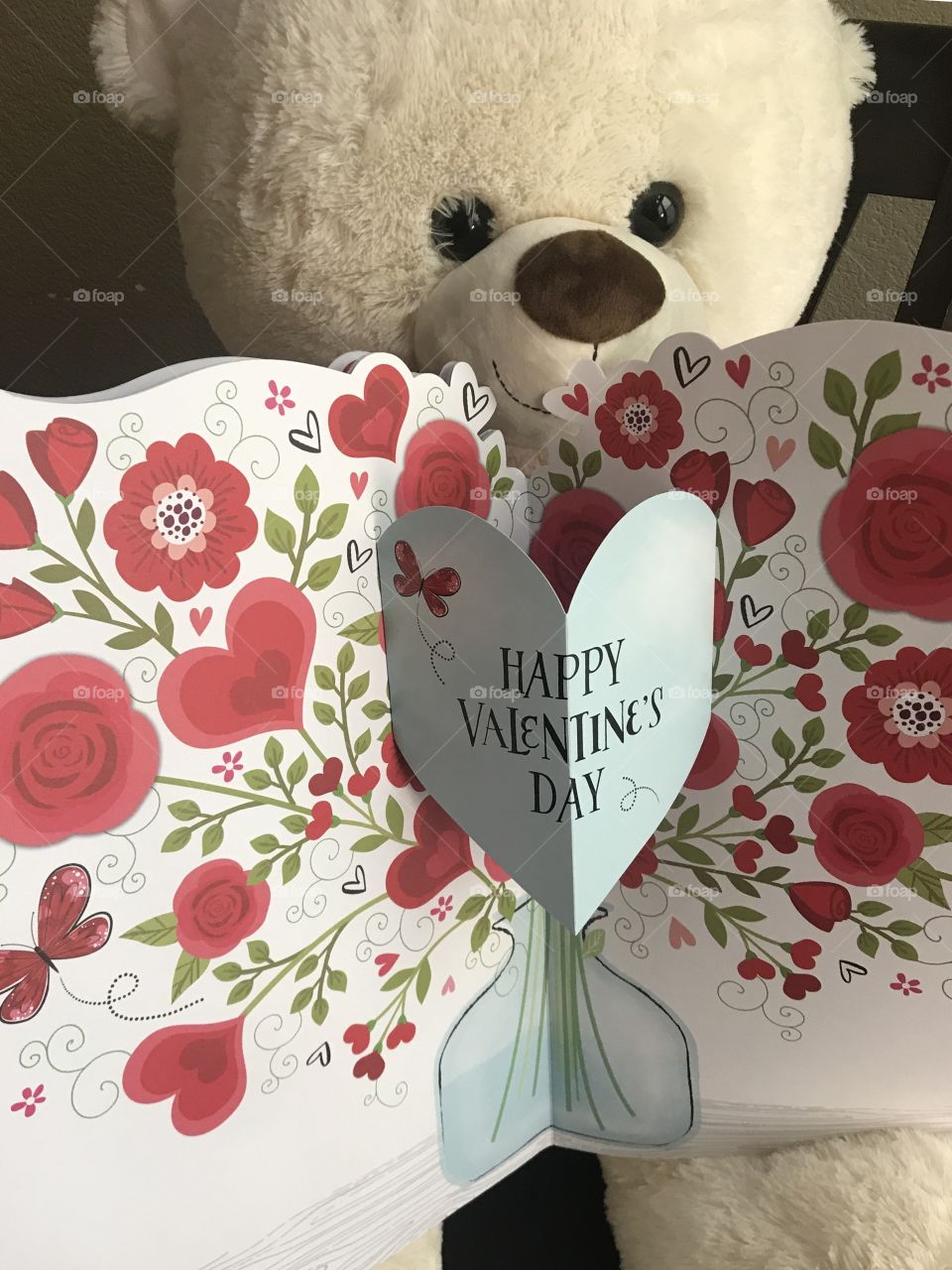 In celebration of Valentine’s Day a cute cuddle Lee Valentines bear holding a Valentines card of flowers and hearts. USA, America 