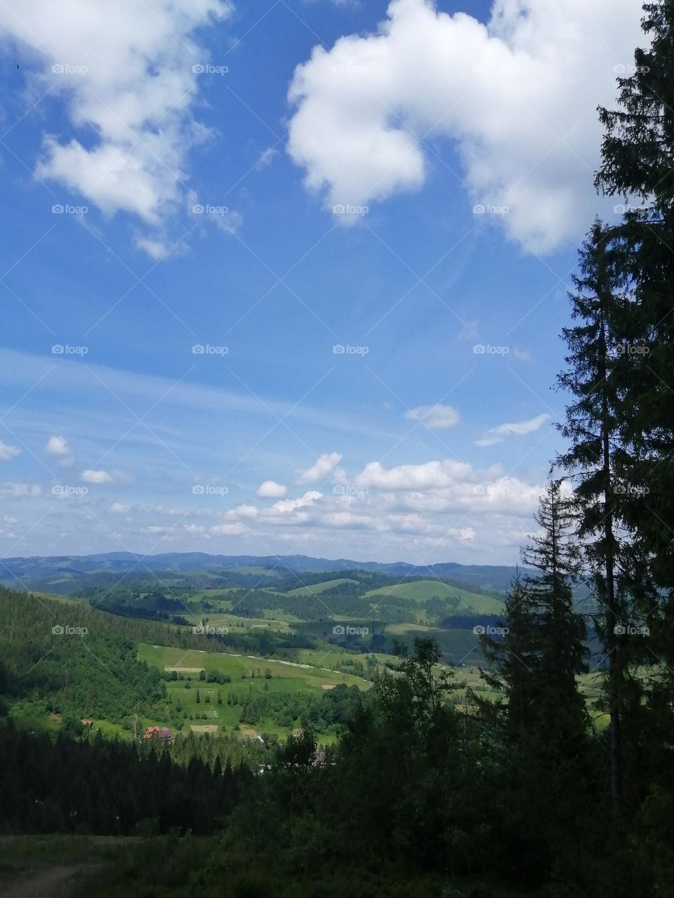 Carpathian Mountains