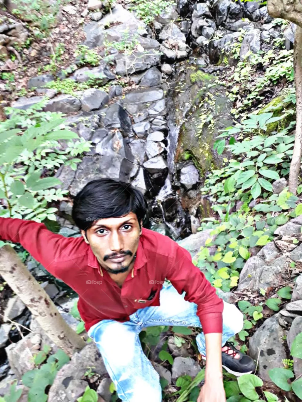 take HDR pictures in forest