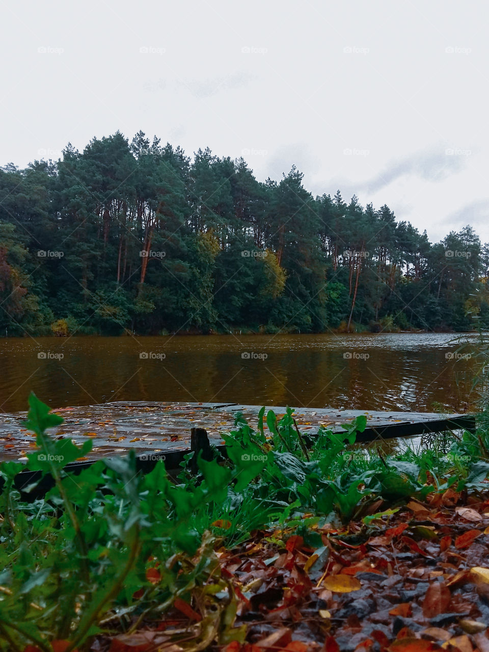 autumn nature after the rain: the platform, the lake, the forest in the background