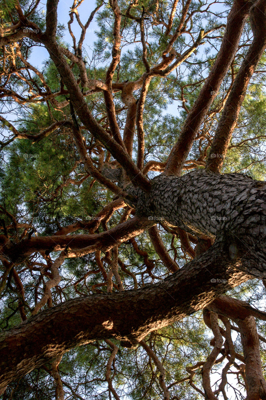 Sometimes you just have to look up