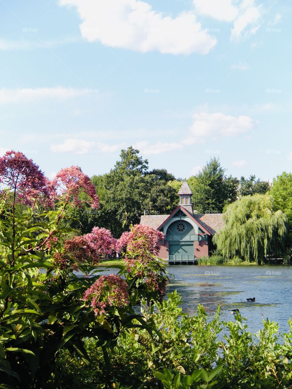 Harlem Meer 