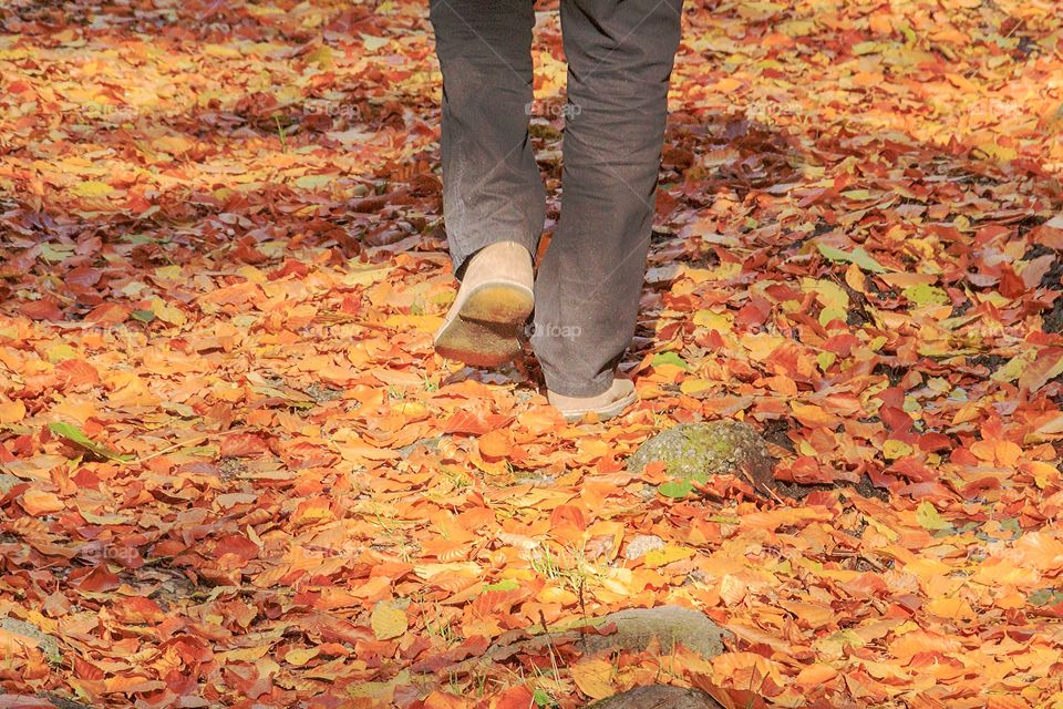 Walking on a carpet of autumn leaves