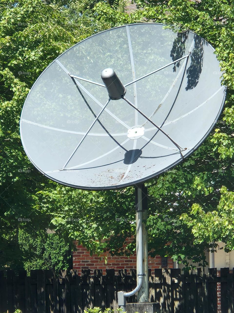 large satellite dish against green leaves background