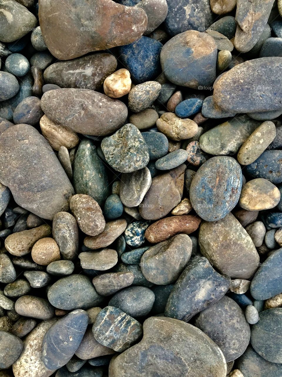 Rocks for life 