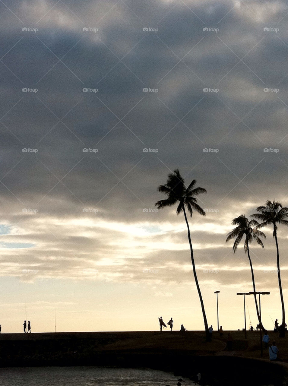 beach sunset shadow palm by jennyhy
