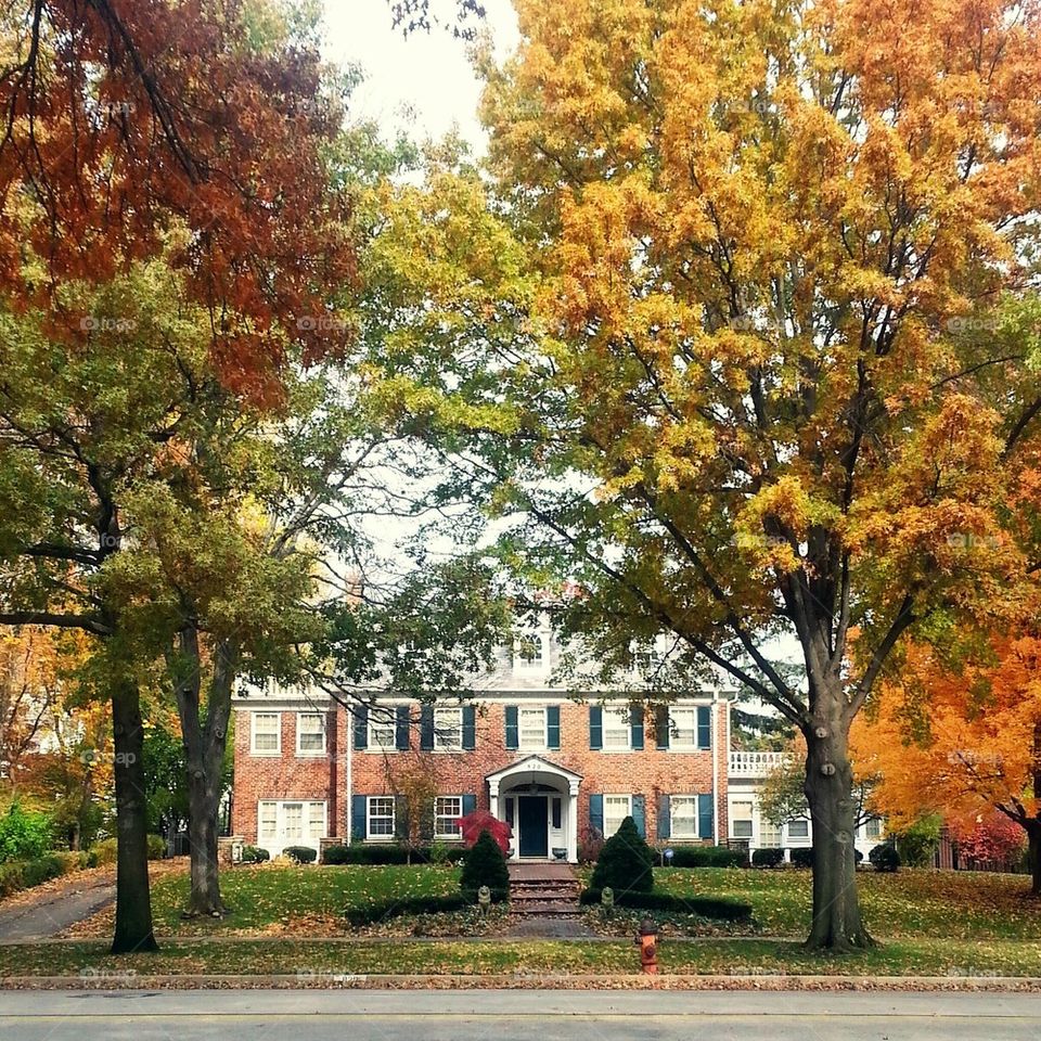 Autumn on Meyer Boulevard 