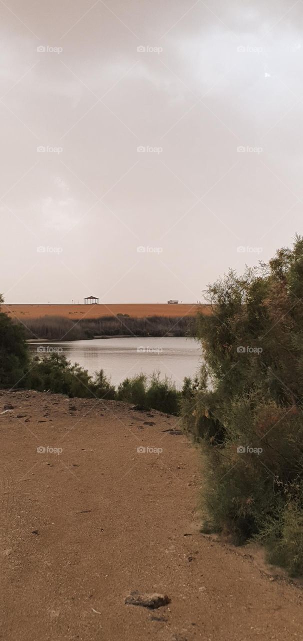 The lake in UAE desert