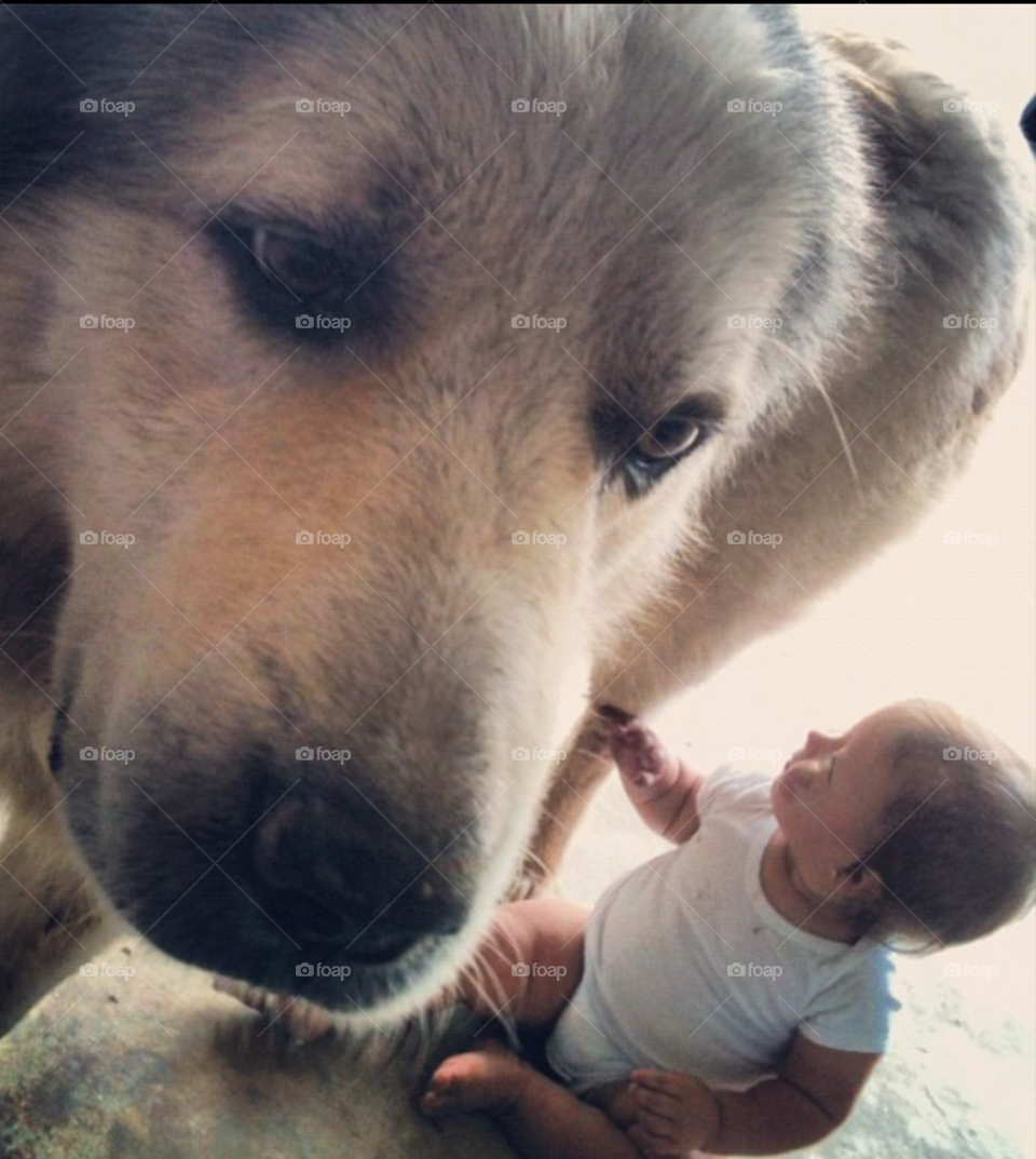 Big White. best friends. protector. 