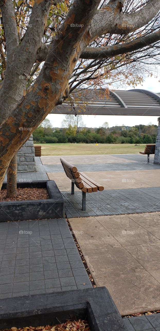 Park bench, daytime