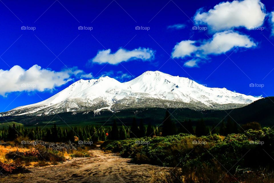 Exquisite Mount Shasta