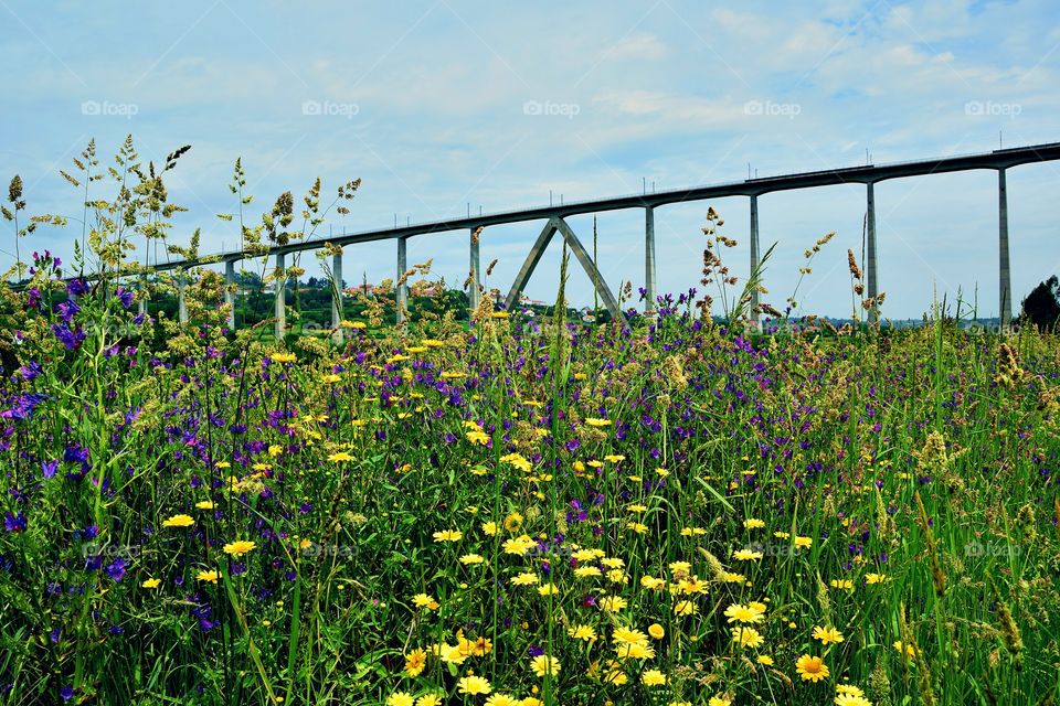 Railway bridge from a field