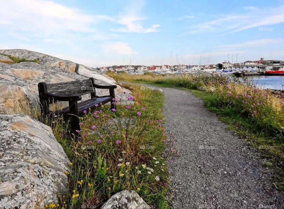 Pathway on the island