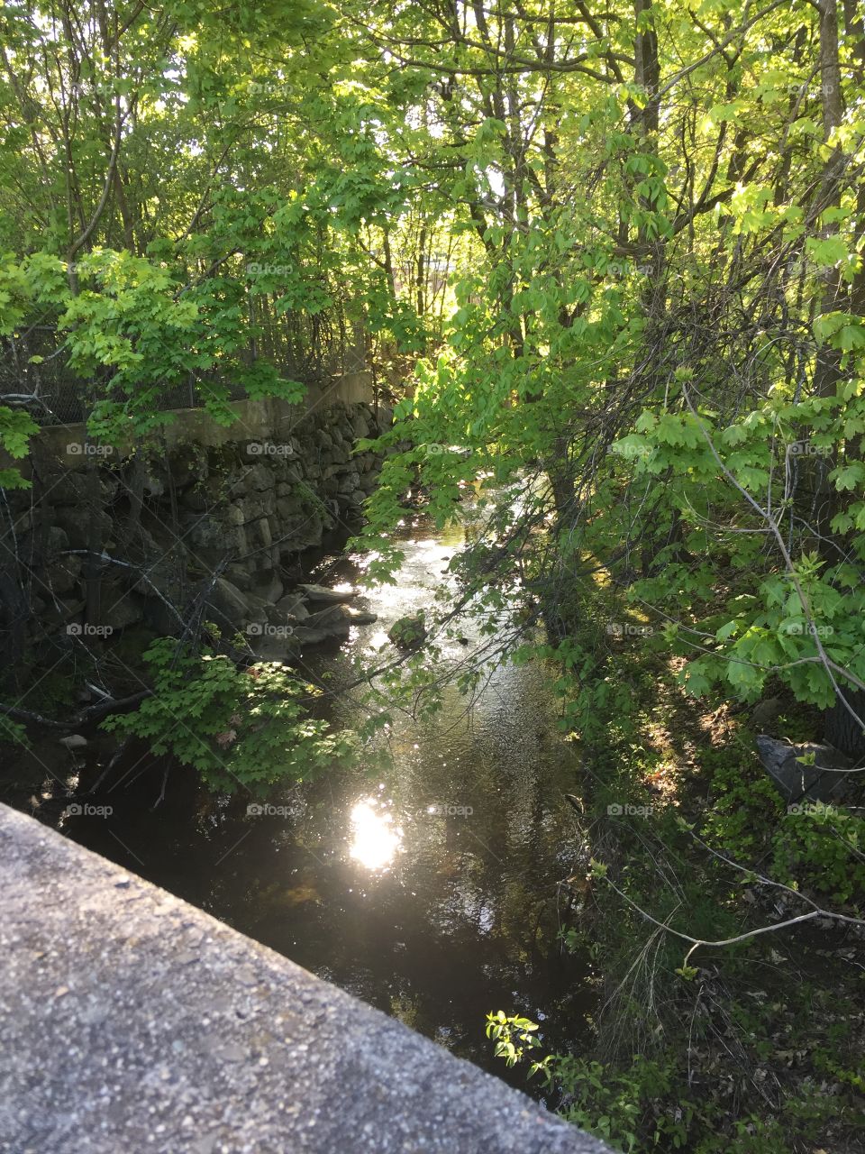 A gentle shimmer of light