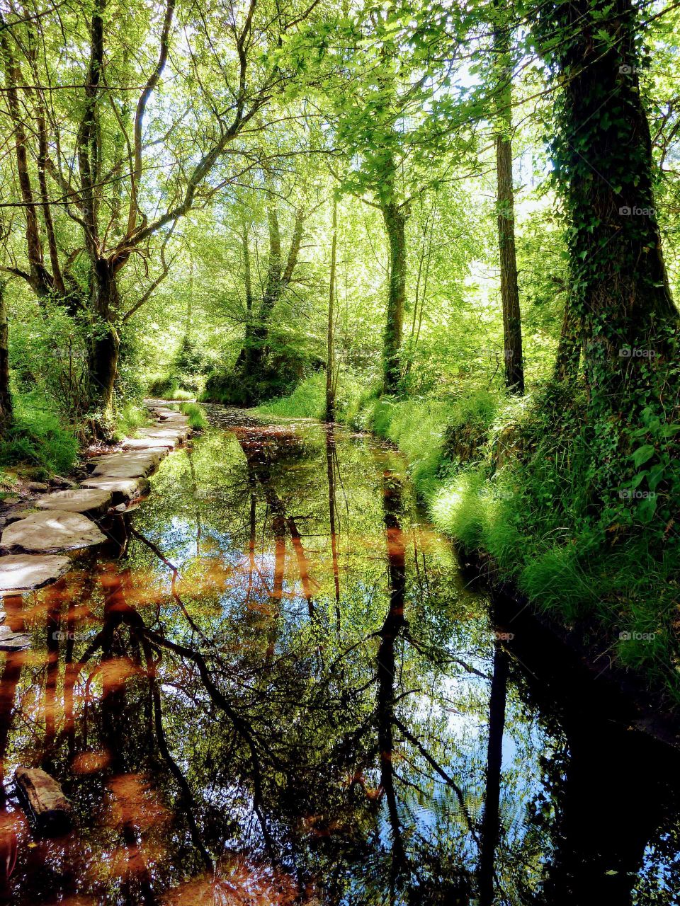 Caminho de Santiago, Spain