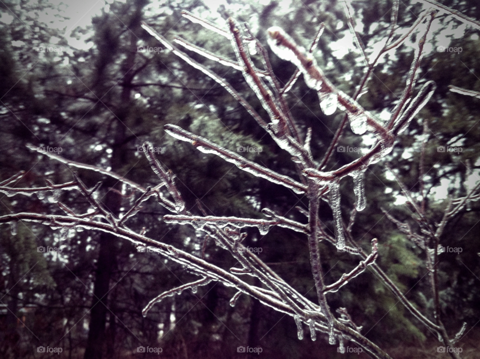 northern michigan winter frozen icy by serenitykennedy