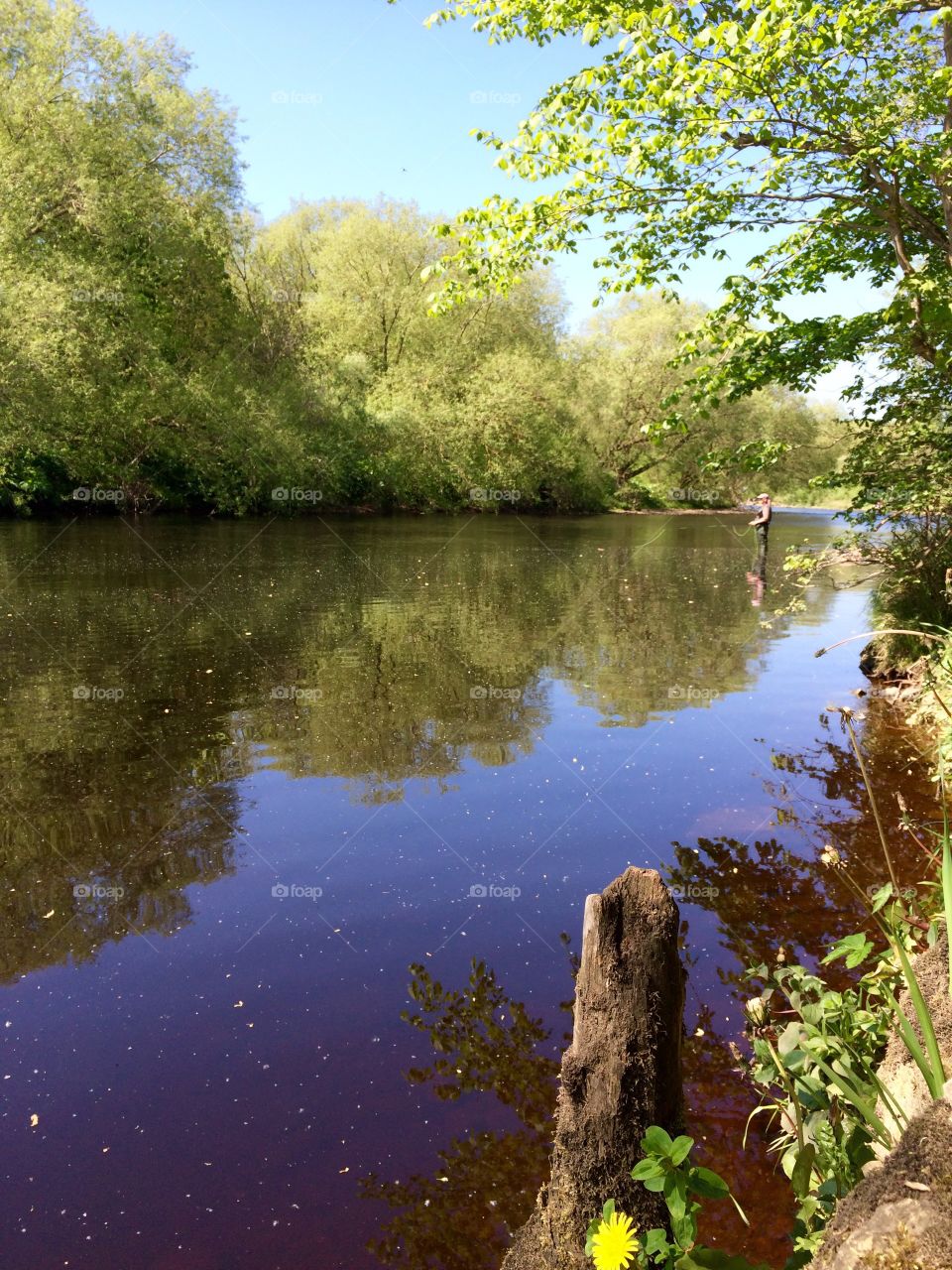 Riverbank Reflections. Walking along the riverbank ...