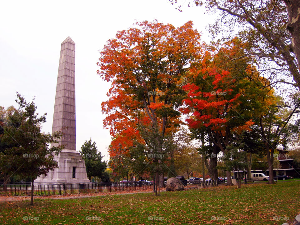 colors trees autumn memorial by vincentm