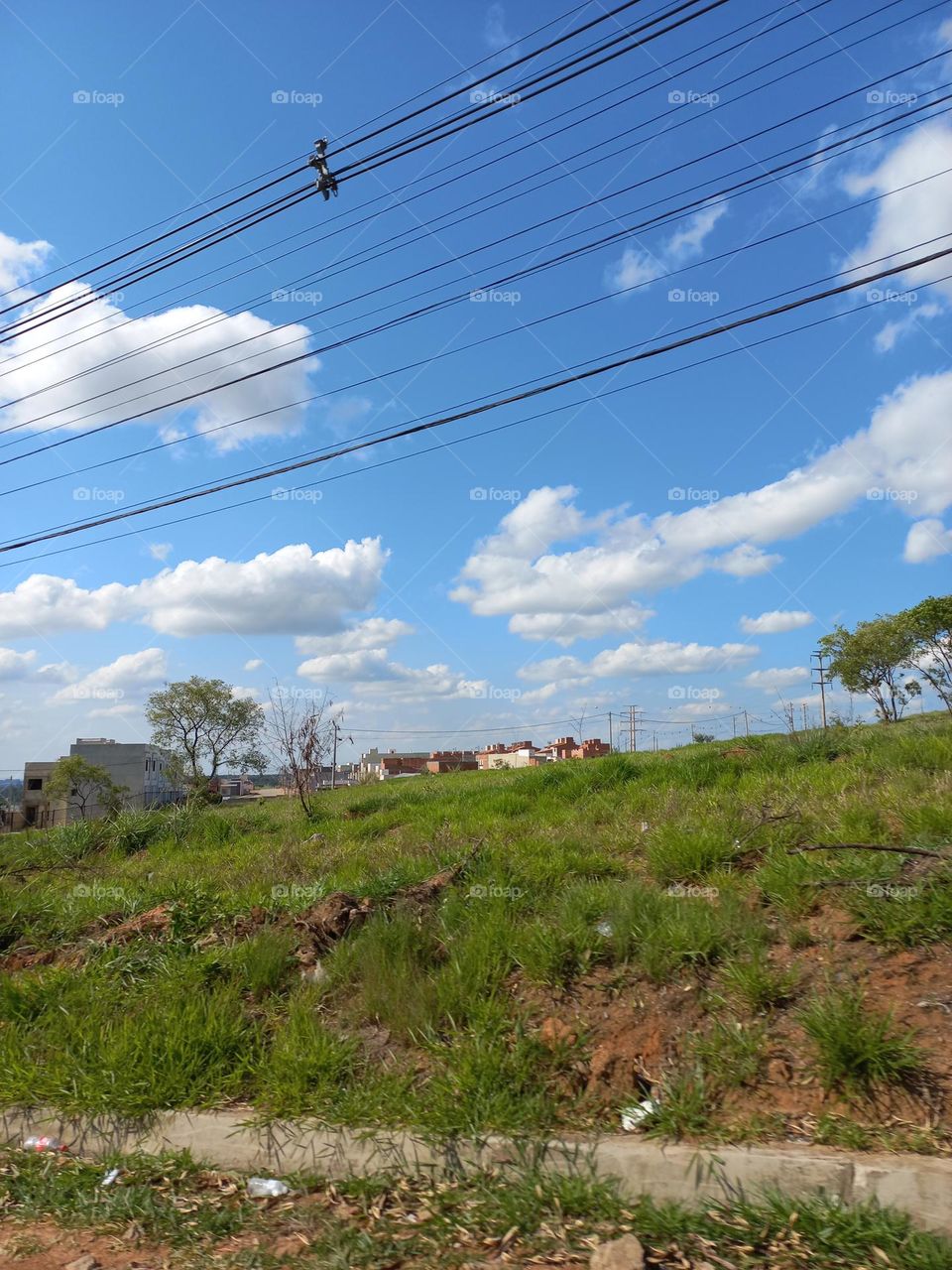 Tarde de Céu azul anil com  nuvens brancas fazendo um belíssimo bordado; contrastando com o verde da relva do campo.